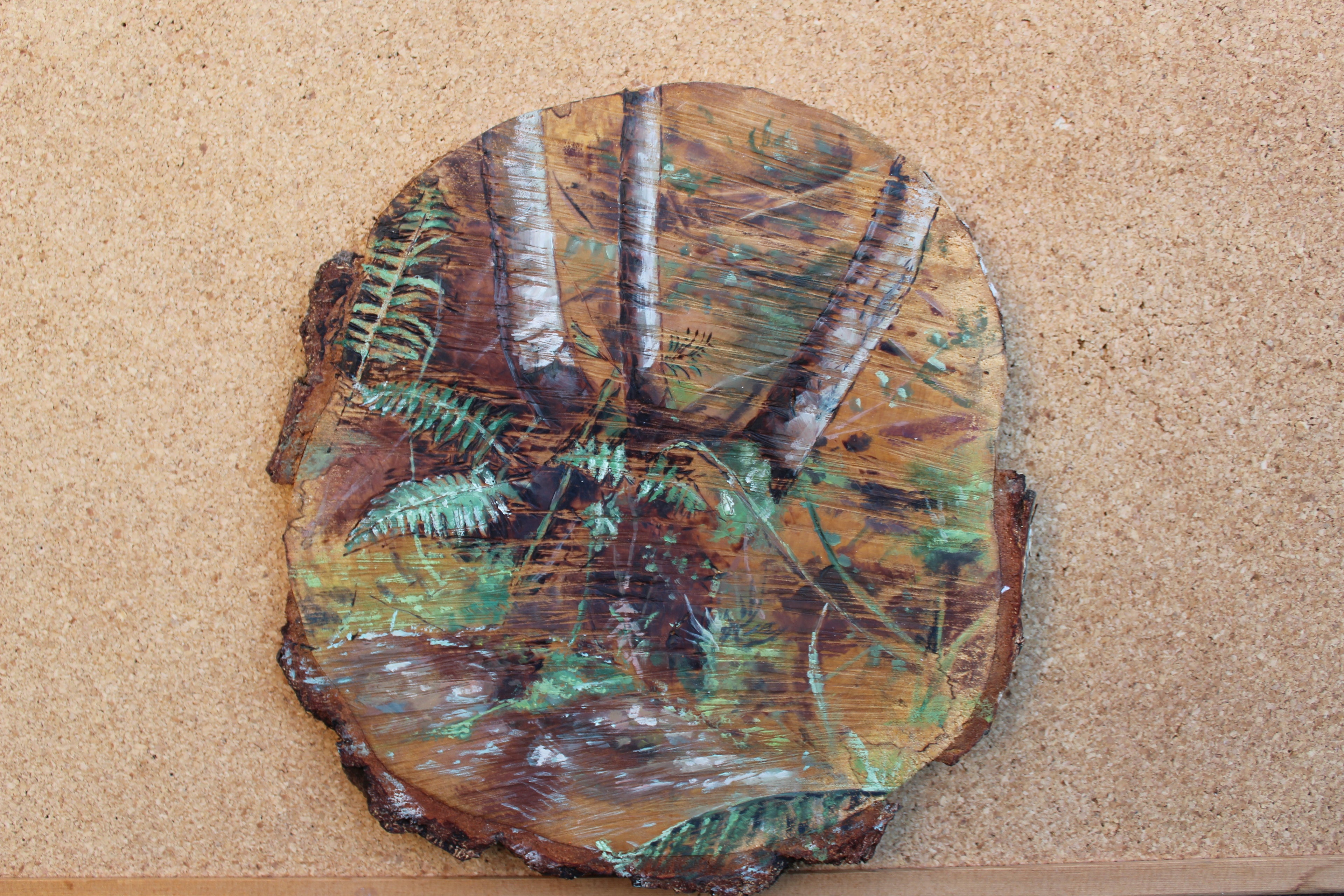 Temperate Rainforest, 2024