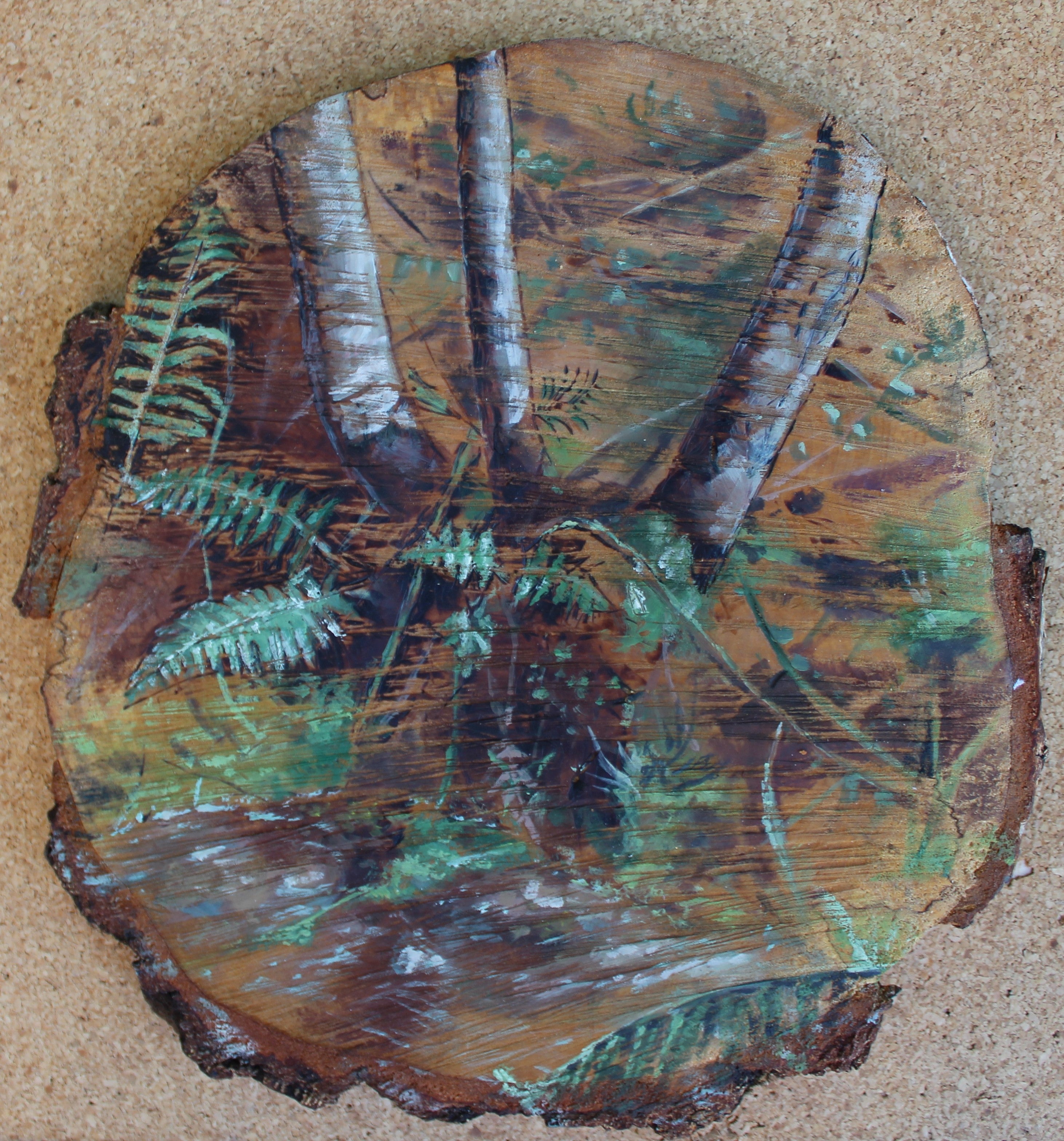 Temperate Rainforest, 2024