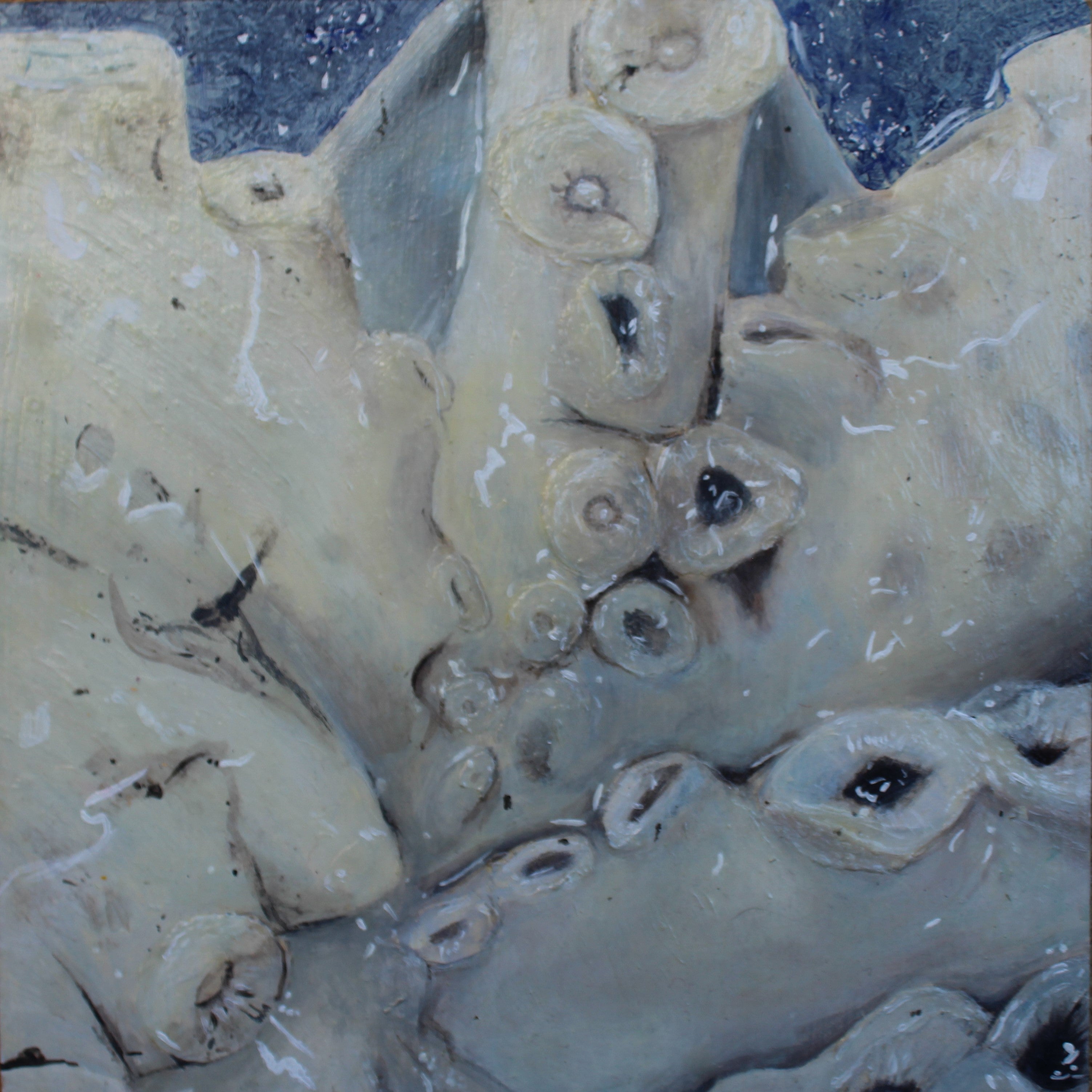 Squid Segment, 2022.